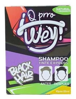 Shampoo Tinte Express QPRRO